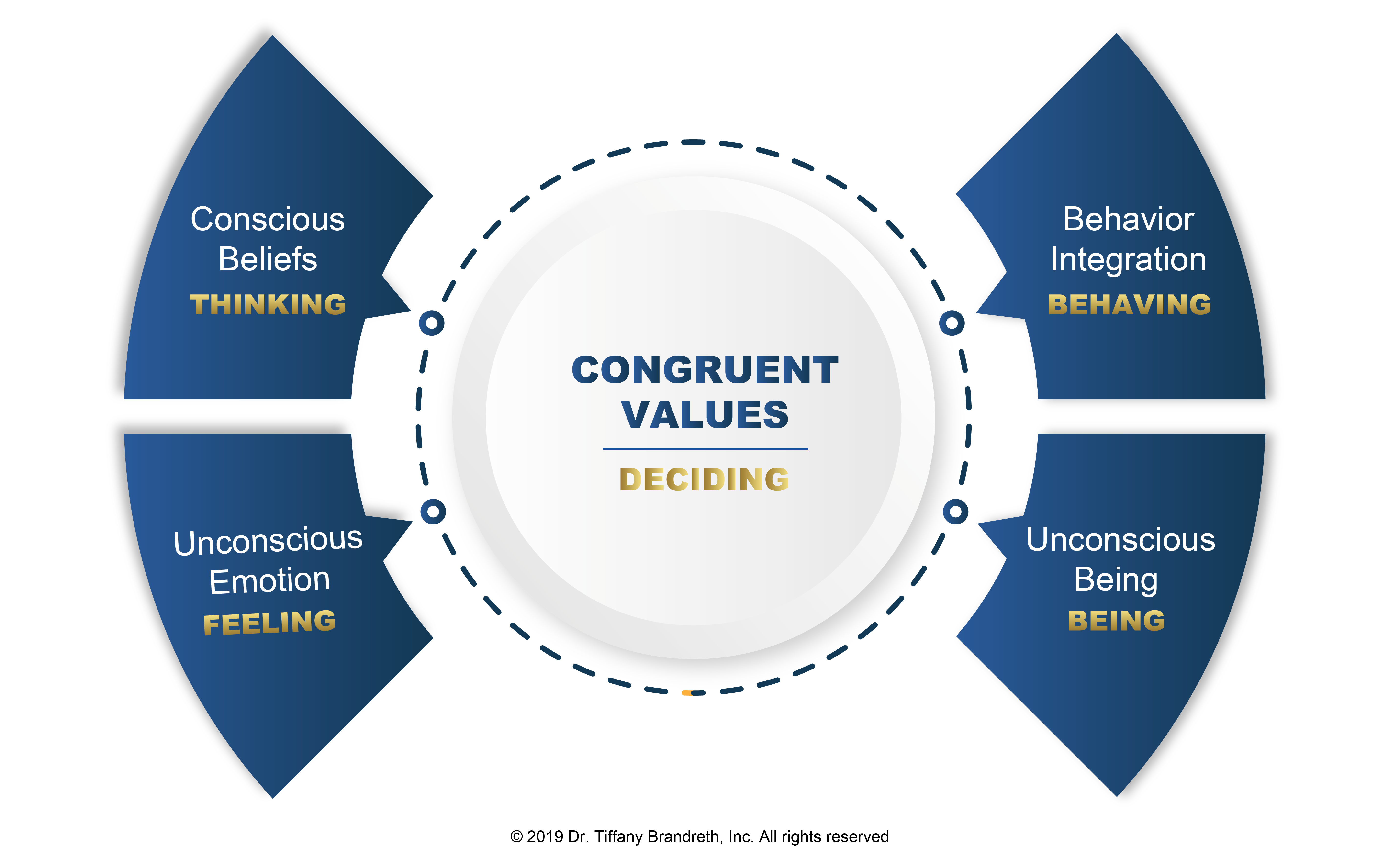 4 Development stages